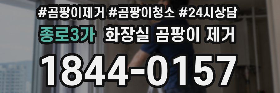 종로3가 화장실 곰팡이 제거