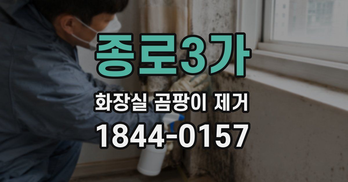종로3가 화장실 곰팡이 제거