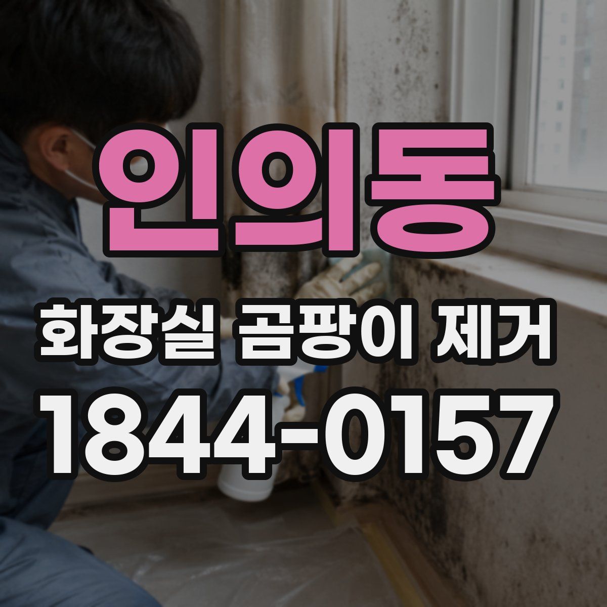 인의동 화장실 곰팡이 제거