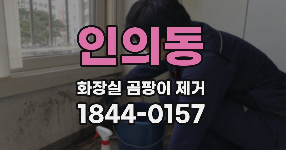 인의동 화장실 곰팡이 제거