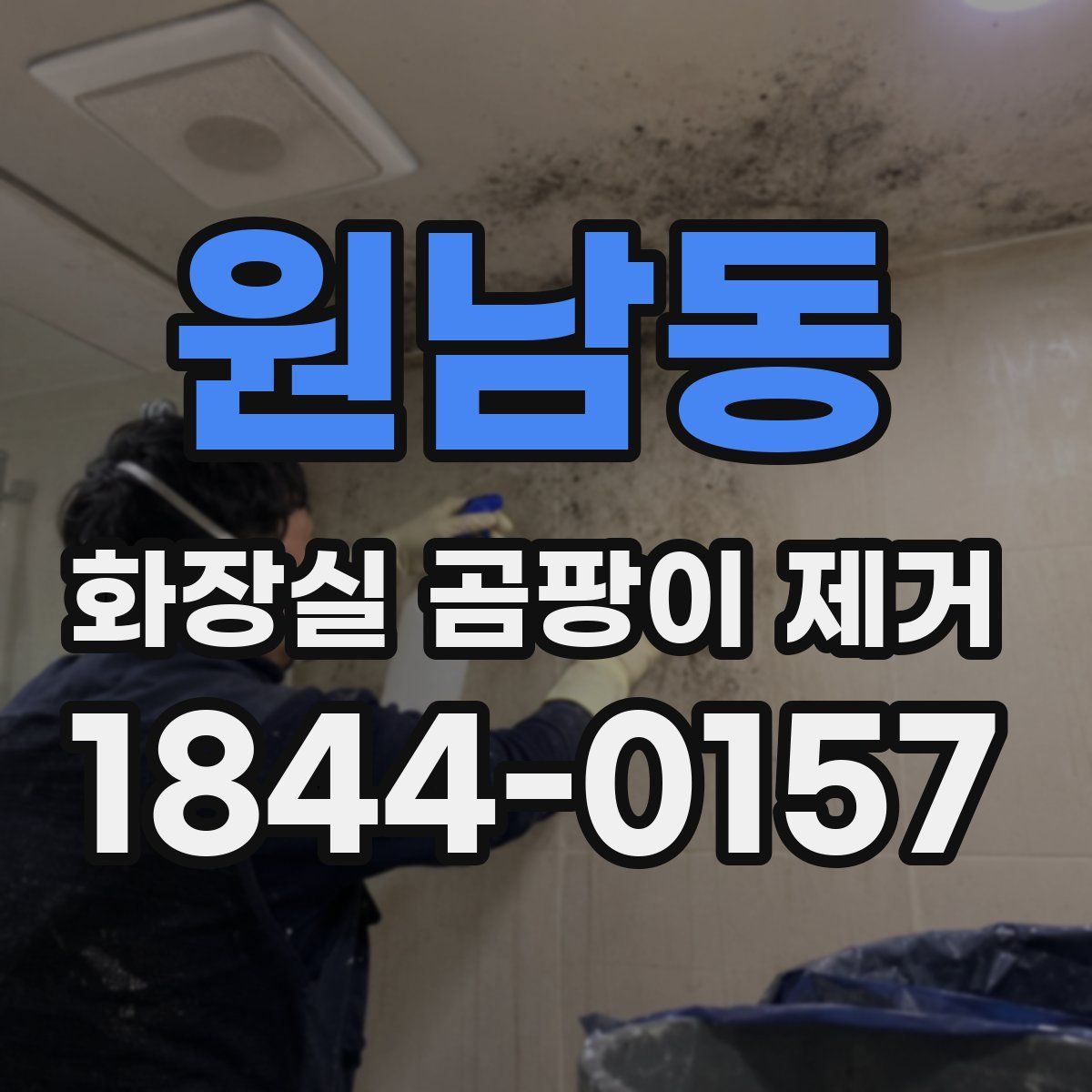 원남동 화장실 곰팡이 제거