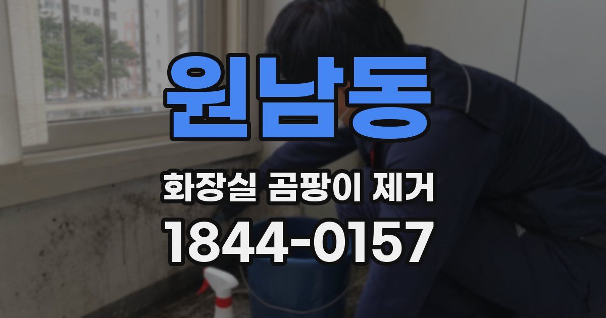 원남동 화장실 곰팡이 제거