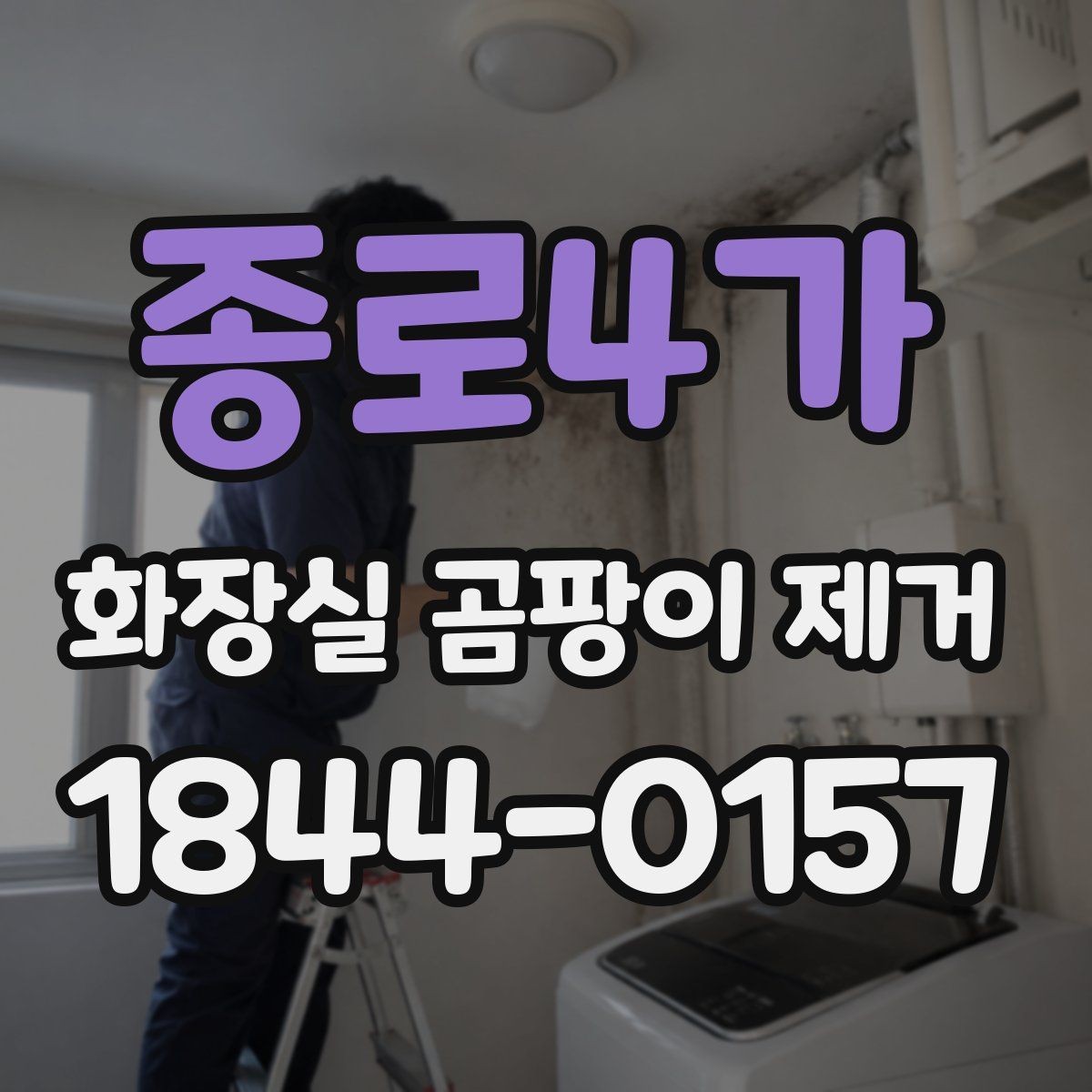 종로4가 화장실 곰팡이 제거 베란다와 다른 욕실 곰팡이의 특징