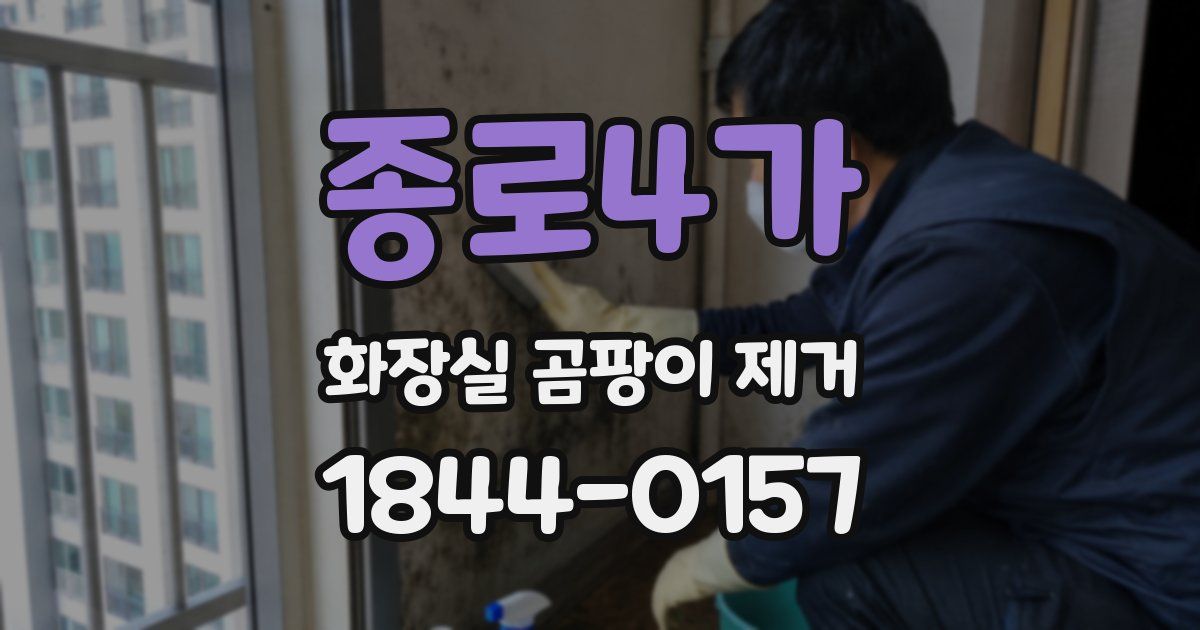 종로4가 화장실 곰팡이 제거