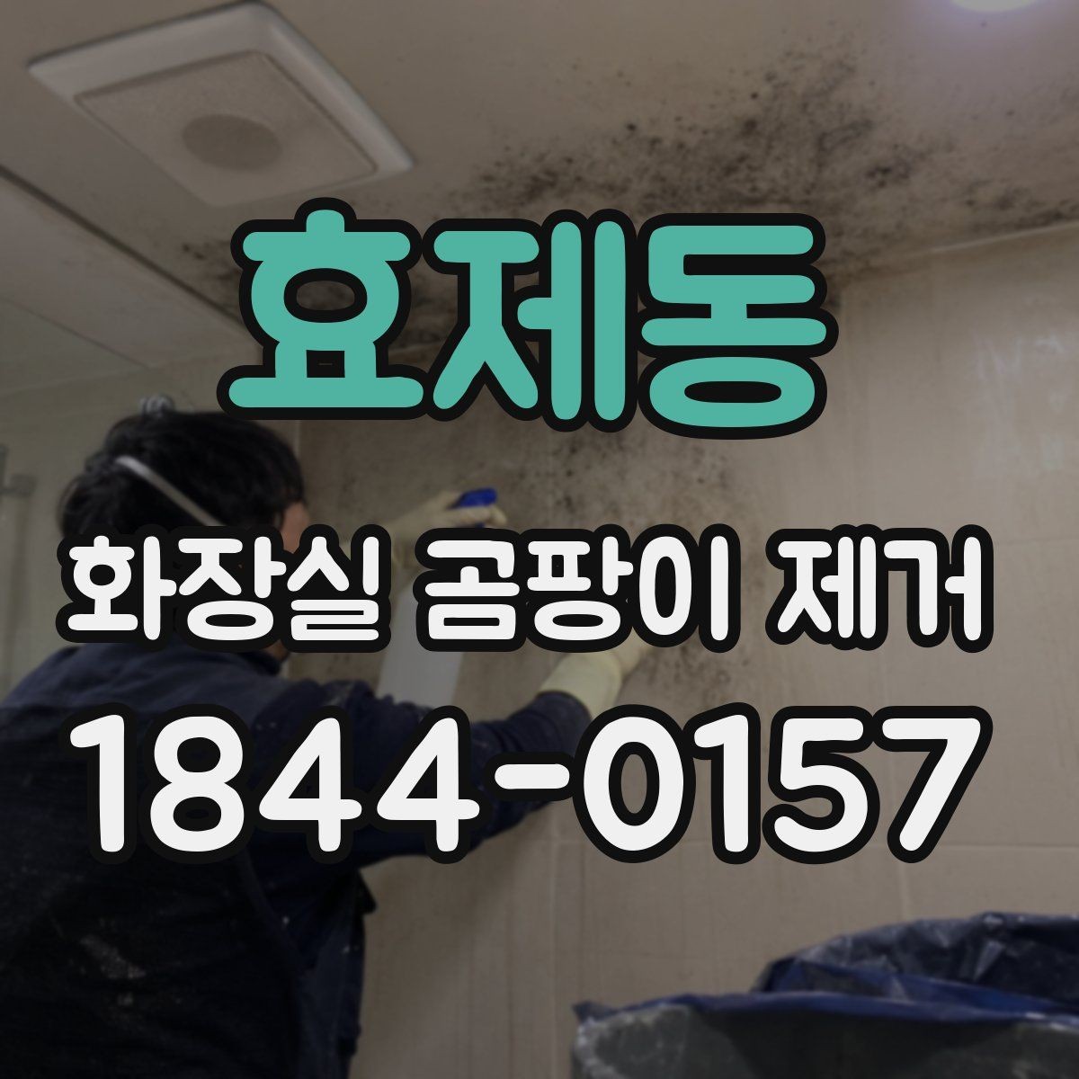 효제동 화장실 곰팡이 제거 실리콘 손상 범위가 넓을 때 대처 방법