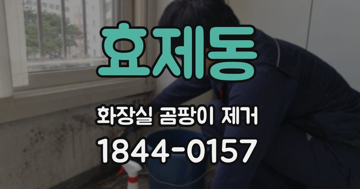 효제동 화장실 곰팡이 제거