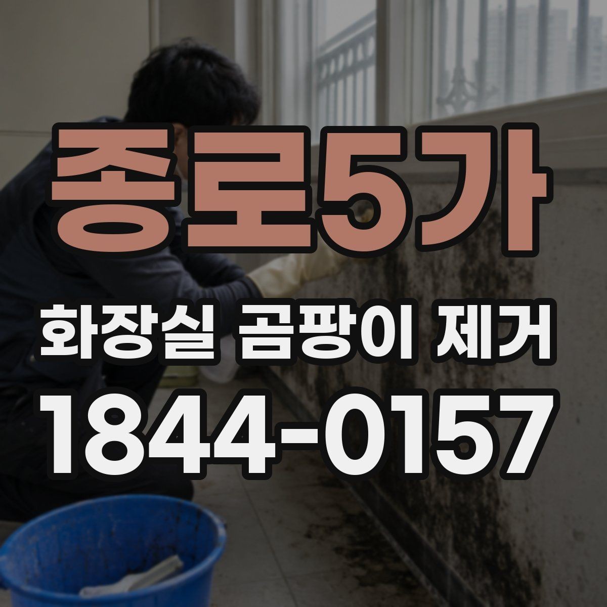 종로5가 화장실 곰팡이 제거 실리콘 들뜸이 보일 때 확인할 부분