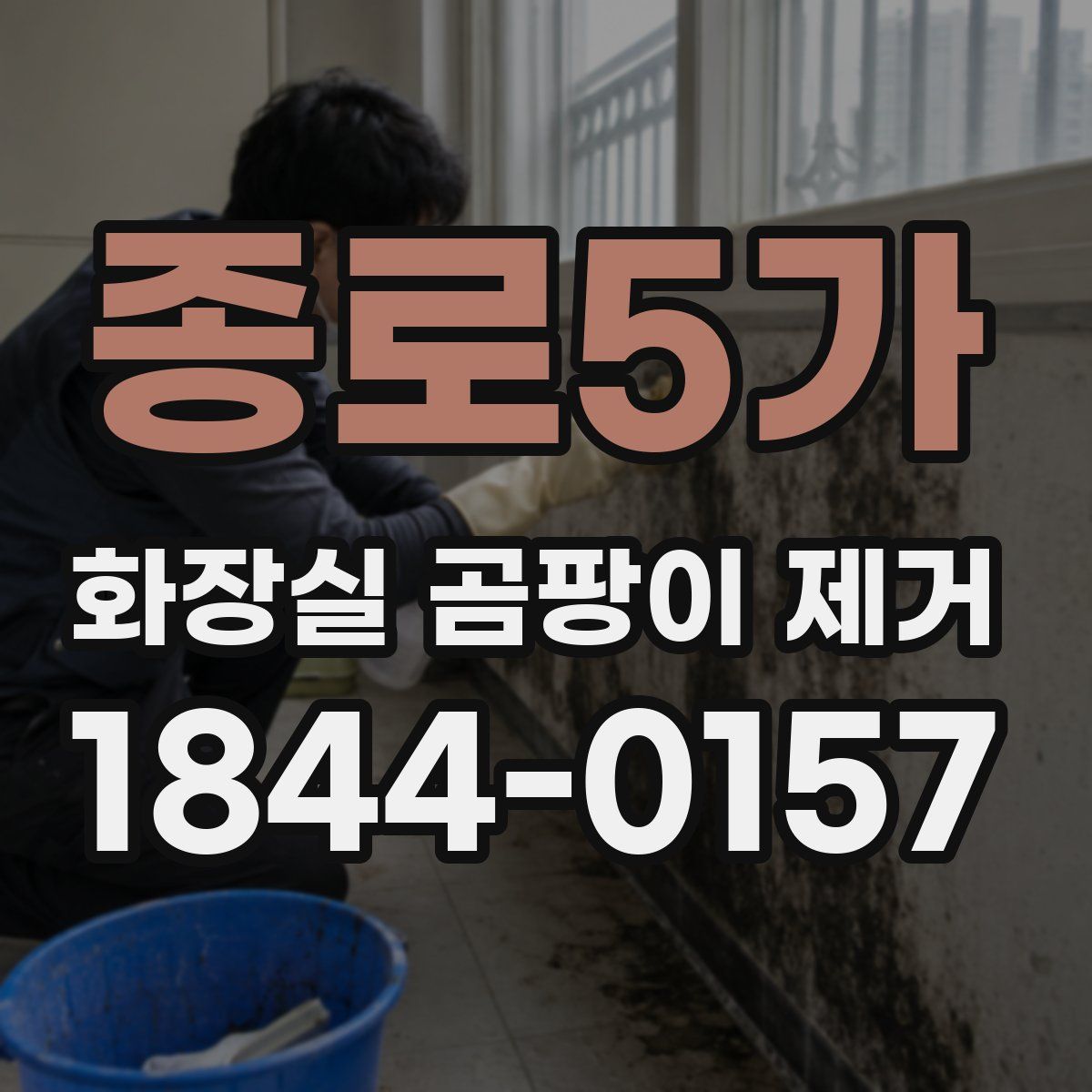 종로5가 화장실 곰팡이 제거