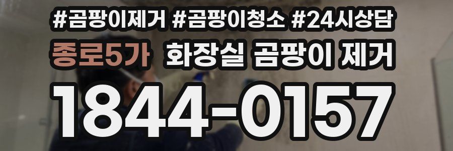종로5가 화장실 곰팡이 제거
