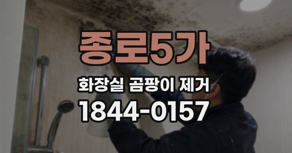 종로5가 화장실 곰팡이 제거