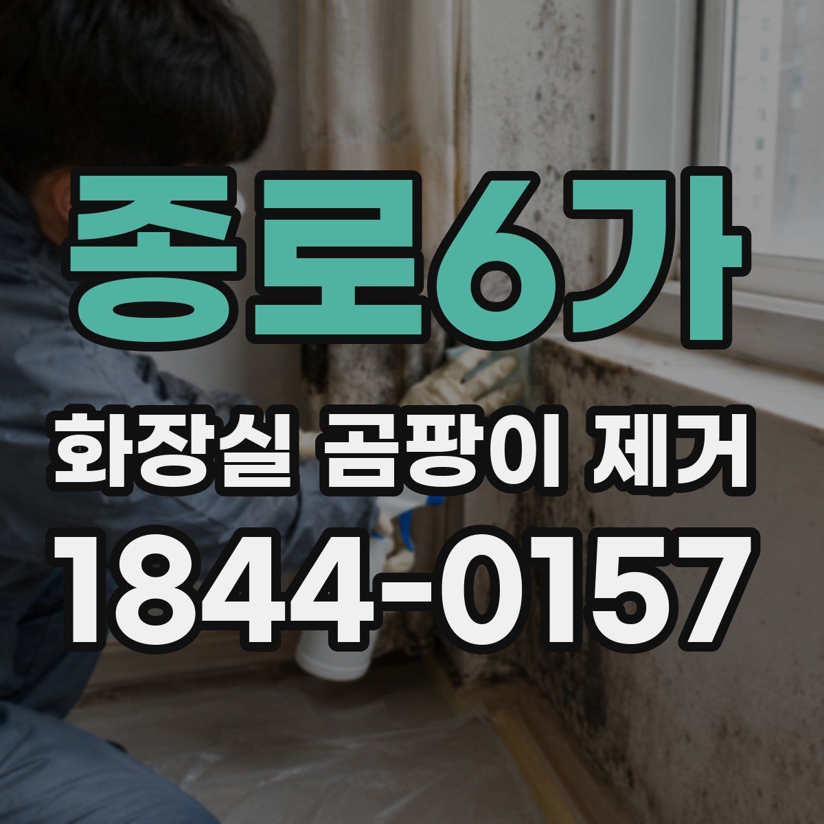 종로6가 화장실 곰팡이 제거 이후 냄새와 습기를 오래 줄이는 방법
