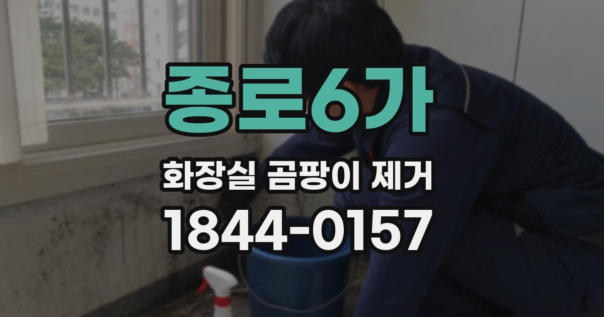 종로6가 화장실 곰팡이 제거