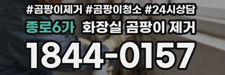 종로6가 화장실 곰팡이 제거