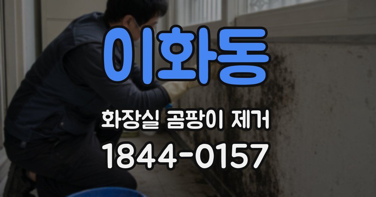 이화동 화장실 곰팡이 제거