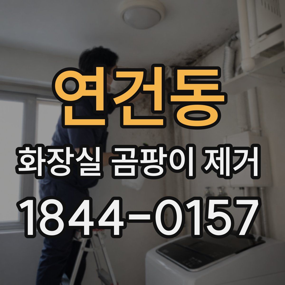 연건동 화장실 곰팡이 제거