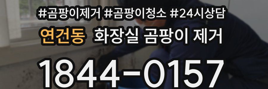 연건동 화장실 곰팡이 제거