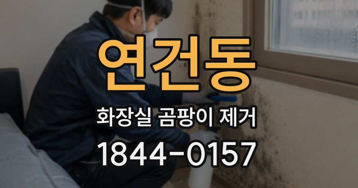 연건동 화장실 곰팡이 제거