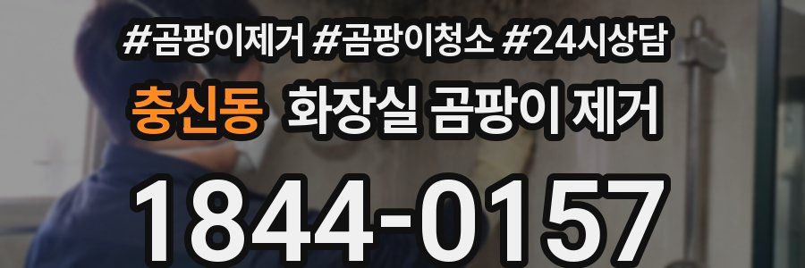충신동 화장실 곰팡이 제거
