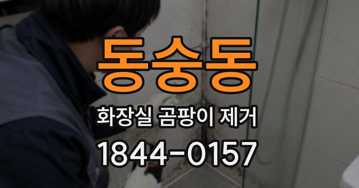 동숭동 화장실 곰팡이 제거