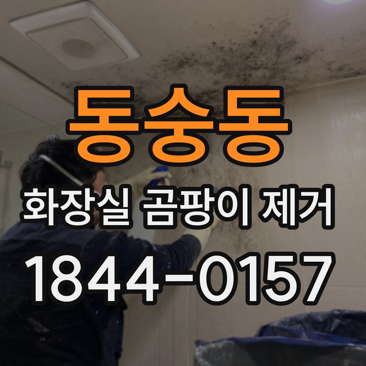 동숭동 화장실 곰팡이 제거