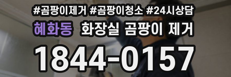 혜화동 화장실 곰팡이 제거