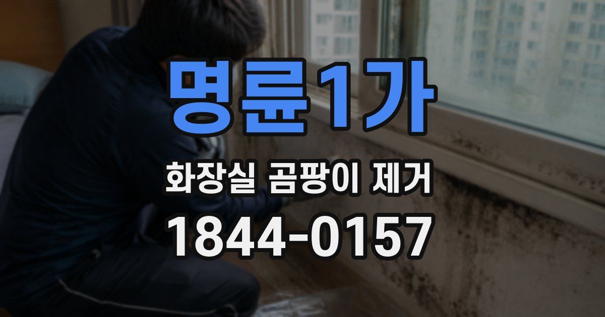 명륜1가 화장실 곰팡이 제거