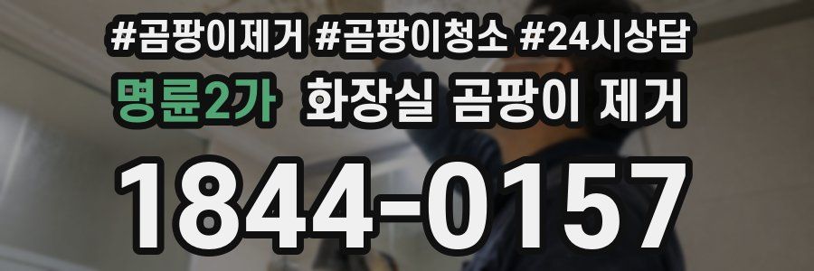 명륜2가 화장실 곰팡이 제거