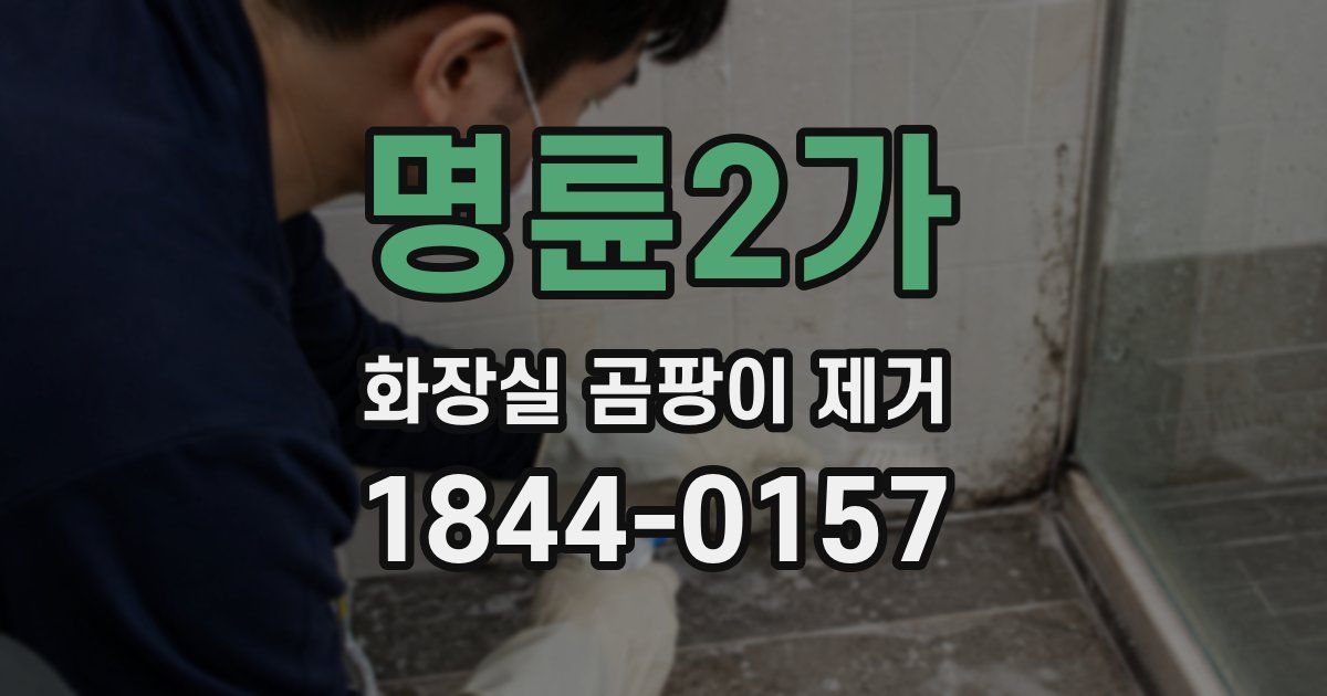 명륜2가 화장실 곰팡이 제거