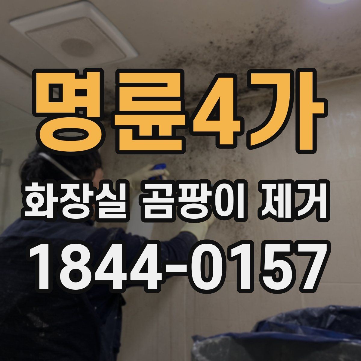 명륜4가 화장실 곰팡이 제거 타일 틈 깊은 곰팡이까지 닦는 순서