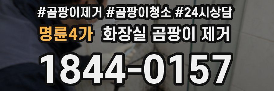 명륜4가 화장실 곰팡이 제거