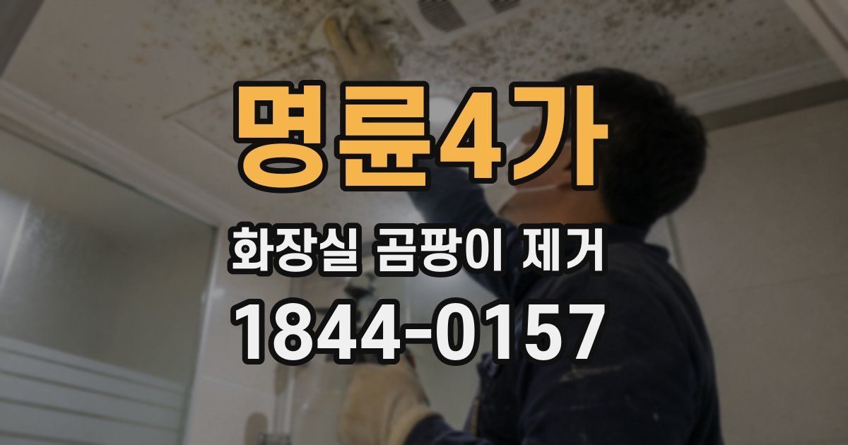 명륜4가 화장실 곰팡이 제거