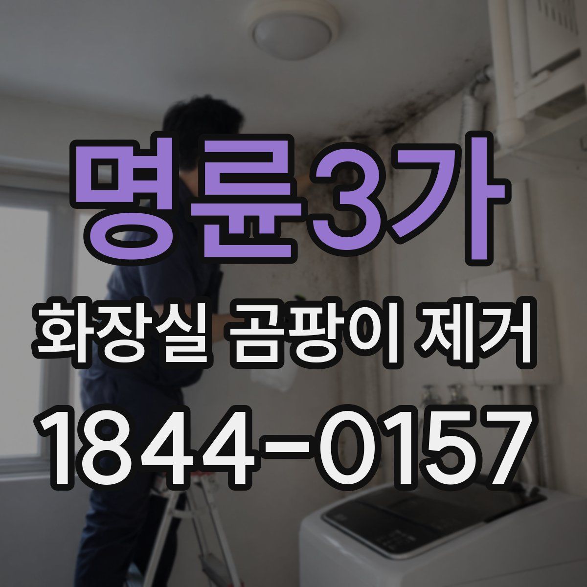 명륜3가 화장실 곰팡이 제거