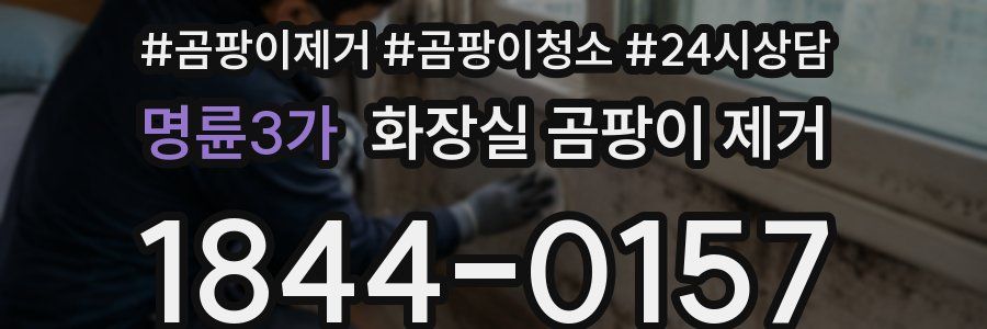 명륜3가 화장실 곰팡이 제거