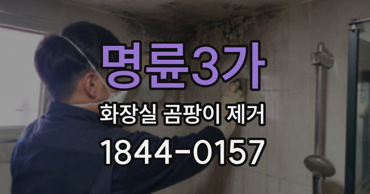 명륜3가 화장실 곰팡이 제거