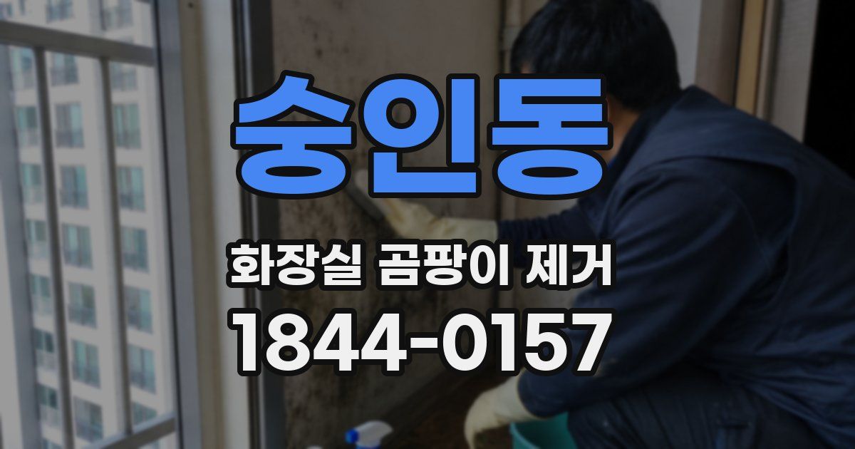 숭인동 화장실 곰팡이 제거