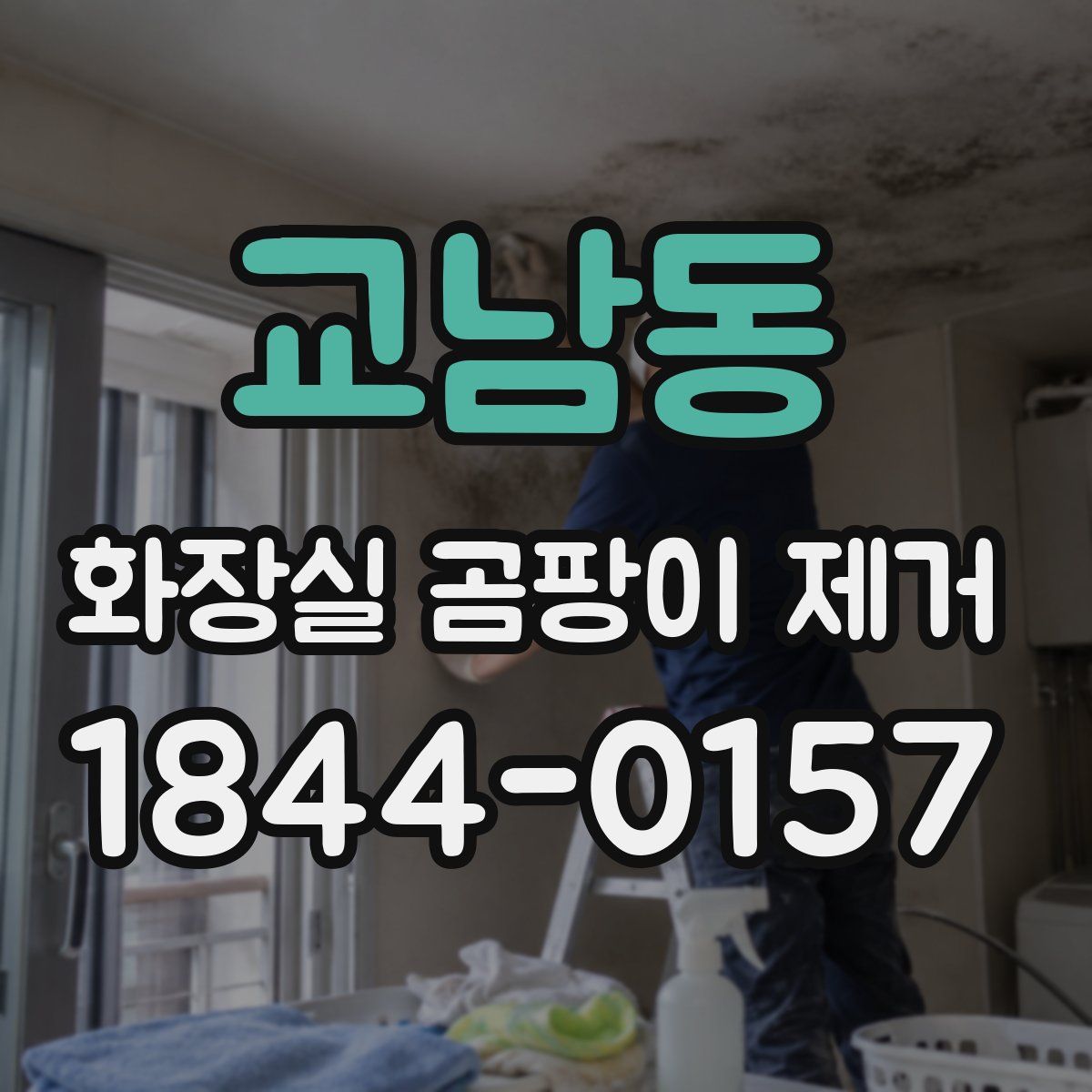 교남동 화장실 곰팡이 제거