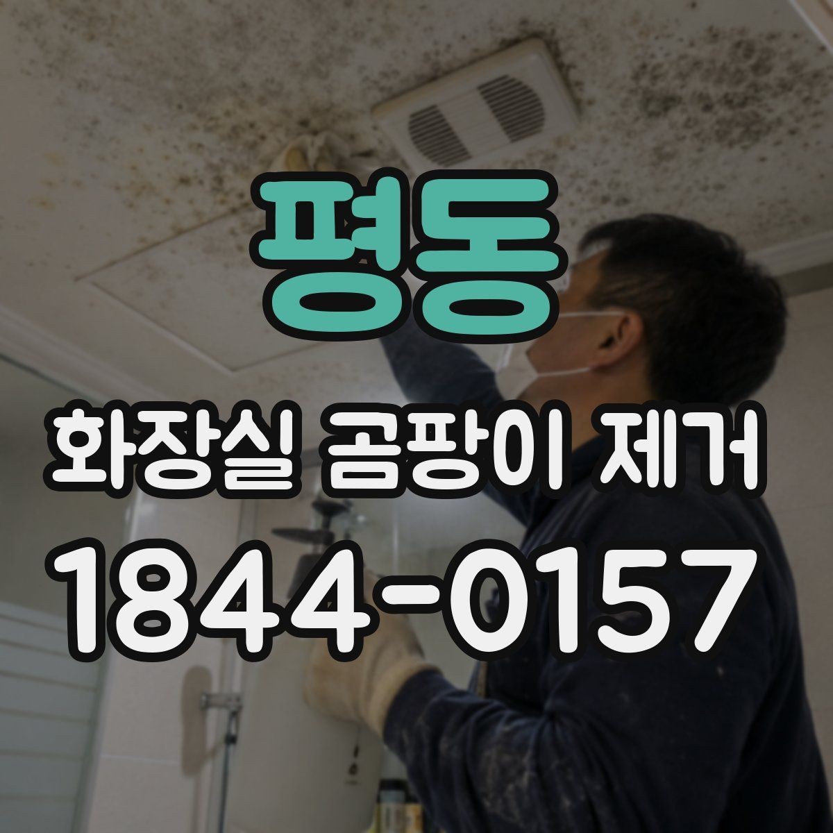 평동 화장실 곰팡이 제거 타일 틈 깊은 곰팡이까지 닦는 순서