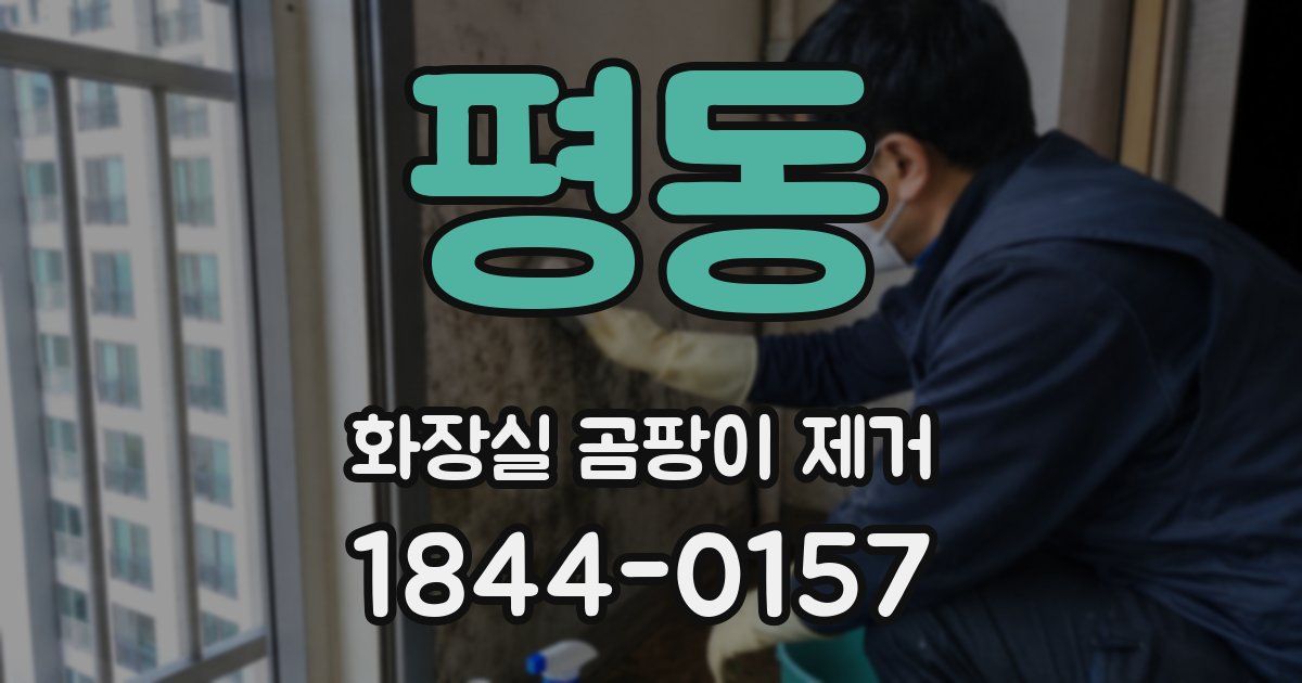 평동 화장실 곰팡이 제거