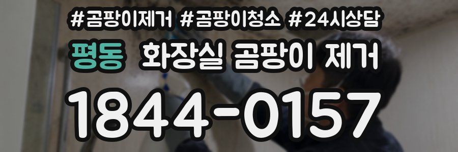 평동 화장실 곰팡이 제거