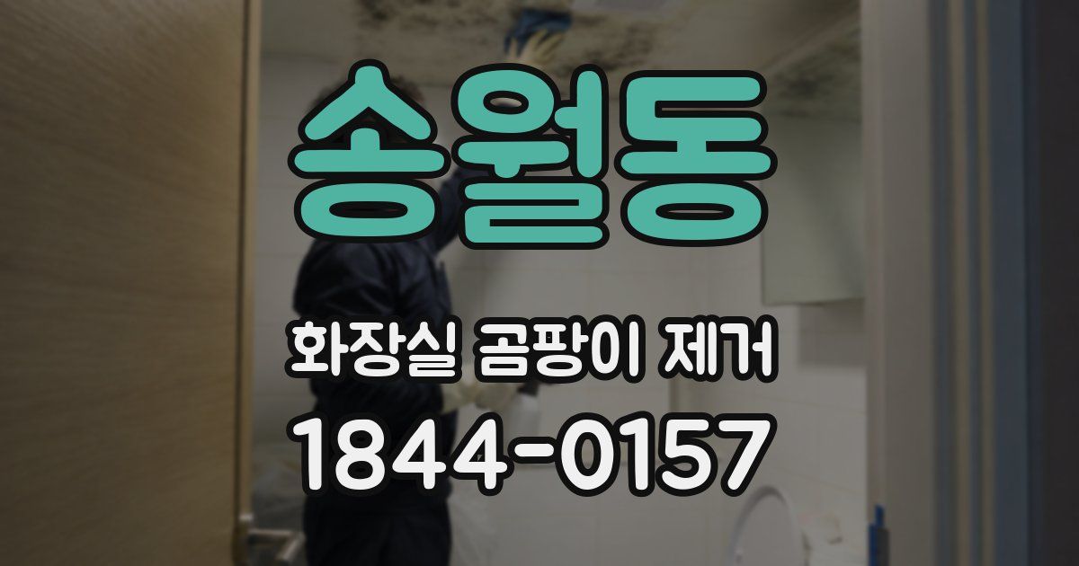 송월동 화장실 곰팡이 제거