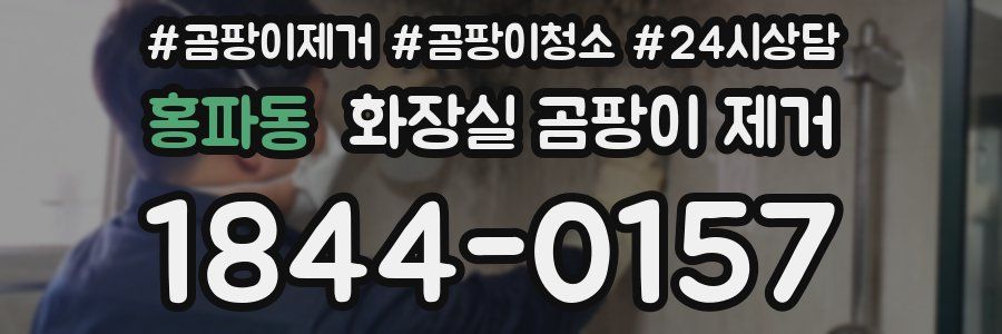 홍파동 화장실 곰팡이 제거