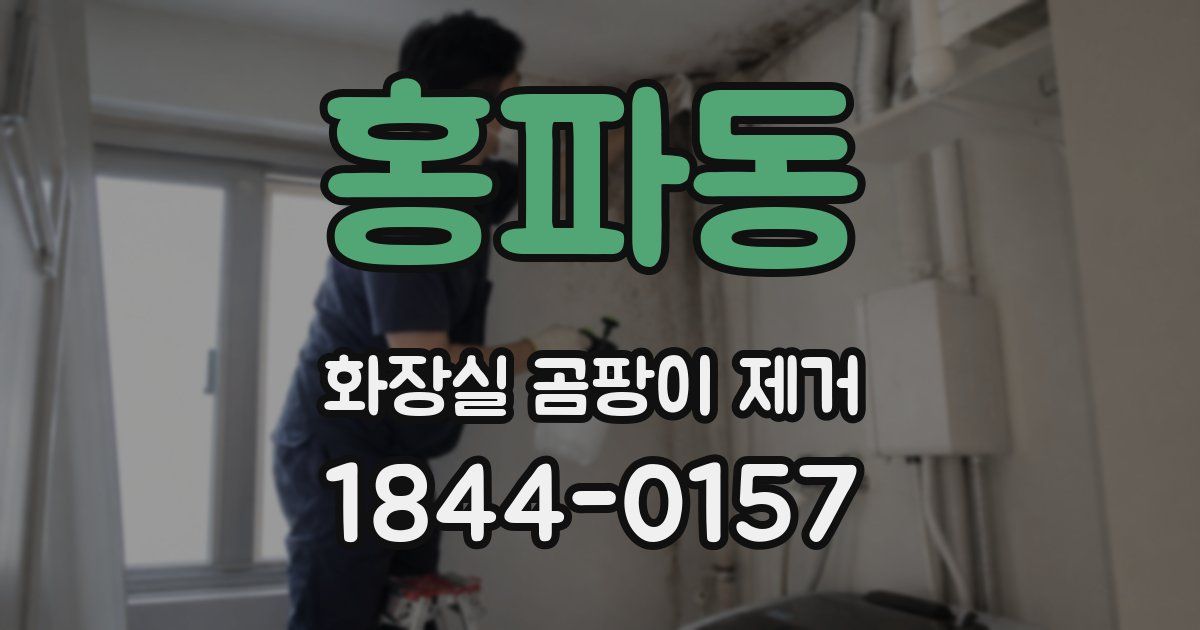 홍파동 화장실 곰팡이 제거