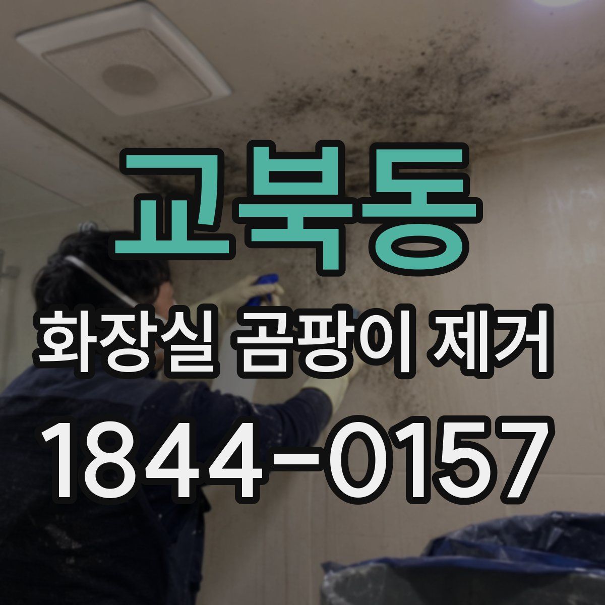 교북동 화장실 곰팡이 제거