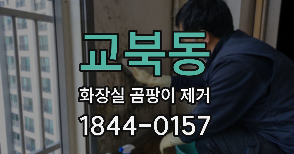 교북동 화장실 곰팡이 제거