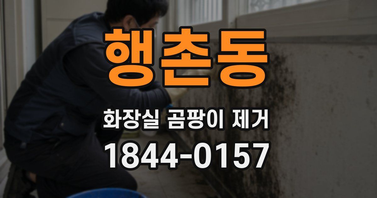 행촌동 화장실 곰팡이 제거