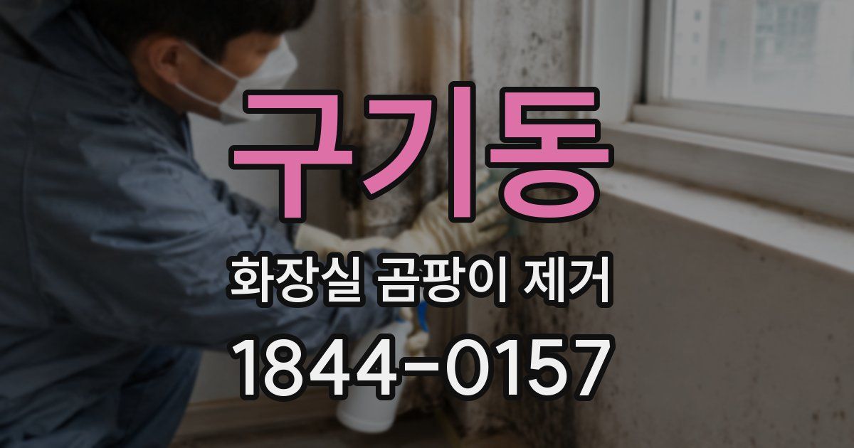 구기동 화장실 곰팡이 제거