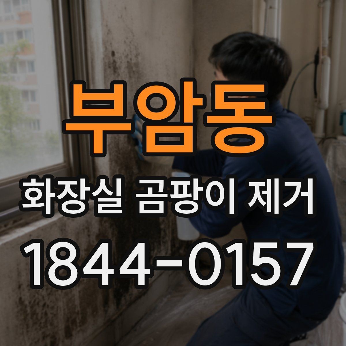 부암동 화장실 곰팡이 제거 환기 후에도 남는 냄새 원인 살피기