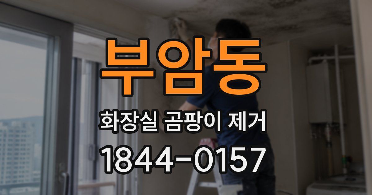 부암동 화장실 곰팡이 제거