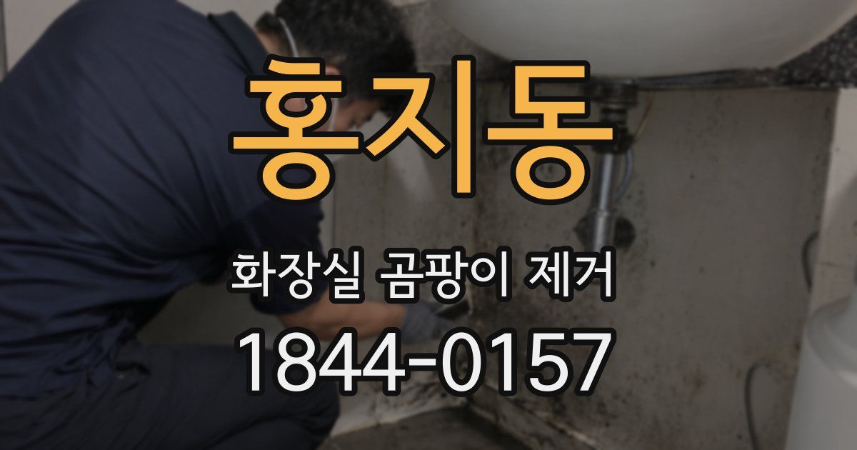 홍지동 화장실 곰팡이 제거