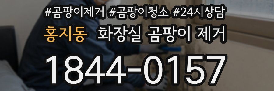 홍지동 화장실 곰팡이 제거